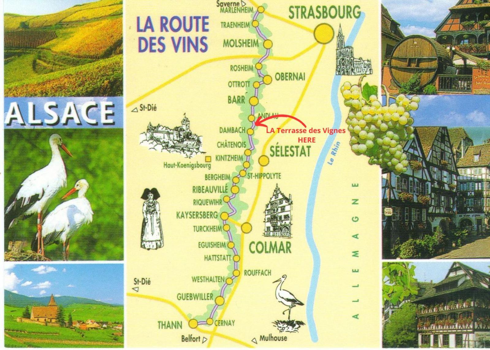 La Terasse Des Vignes - Maison 2 Chambres - 4 Personnes Blienschwiller Exterior foto